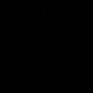 Meet your Posher, Dayanara